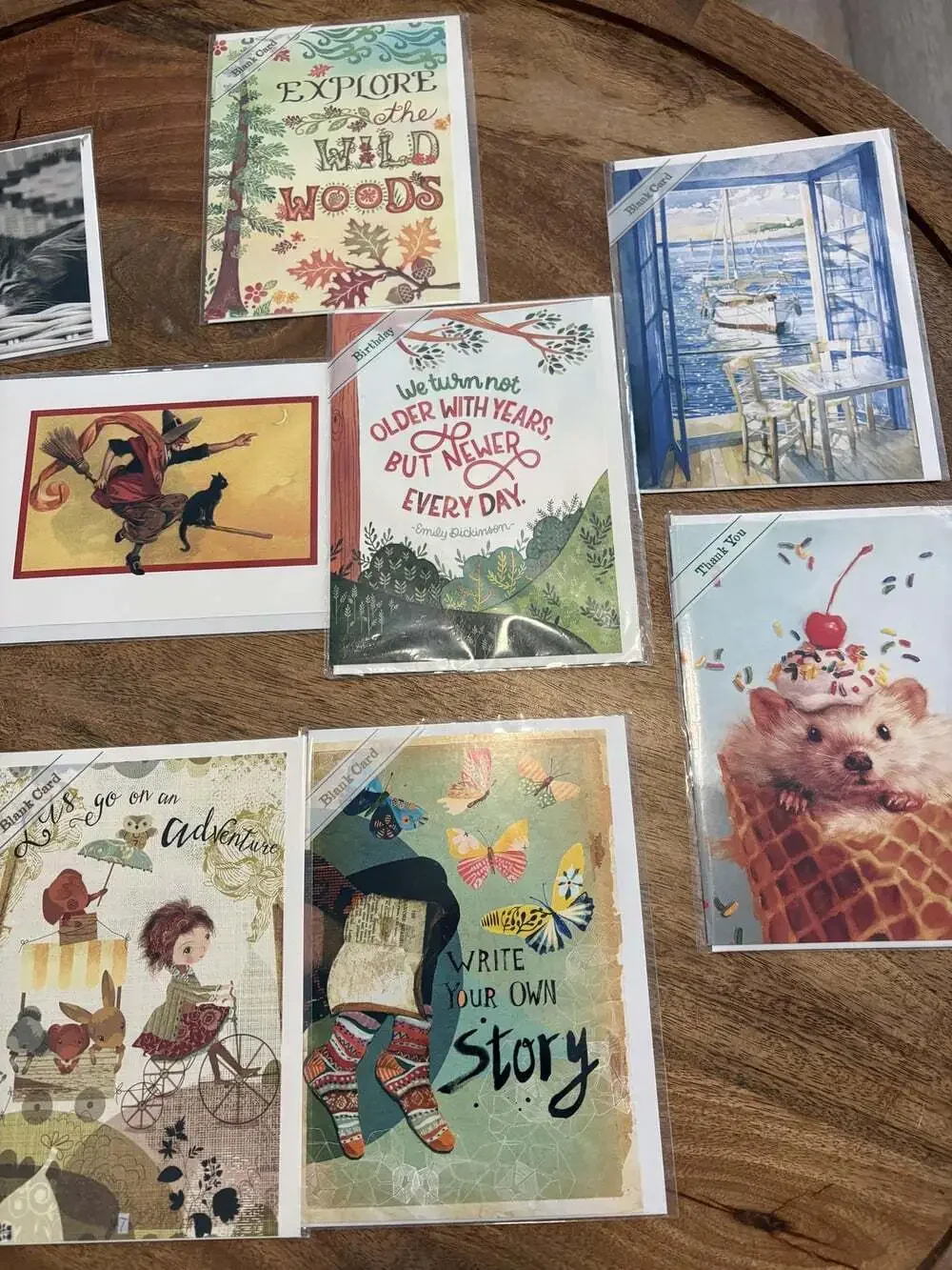10x Assorted Greeting Cards Animal Trader Joe's Papyrus Multicolor New